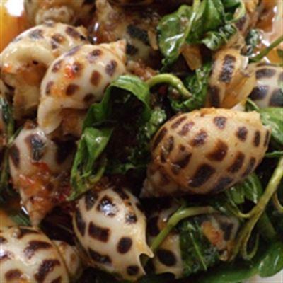 Ốc Đêm Bình Dân – Phan Văn Hớn