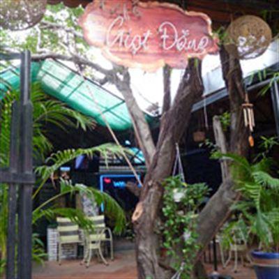 Giọt Đắng Cafe – Thanh Đa