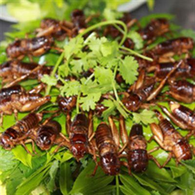 Quán Dế Cơm Hương Xuân