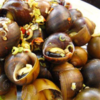 Ốc Xí