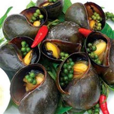 Ốc Bòn Bon – Bình Thới