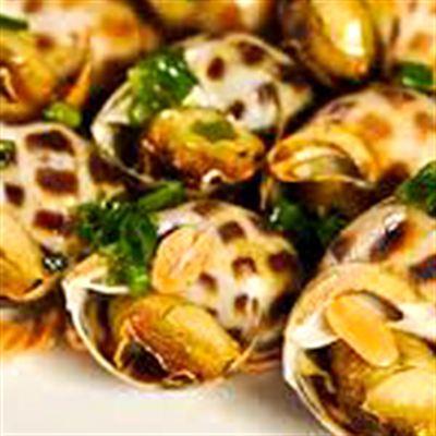 Ốc 154 – Tuệ Tĩnh