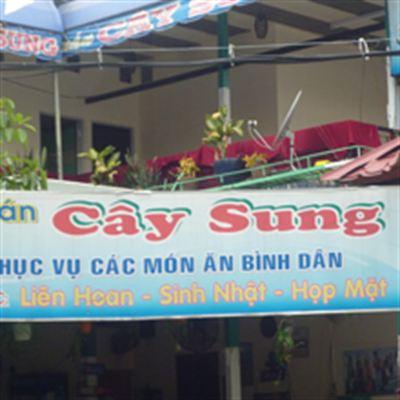 Cây Sung – Lý Thường Kiệt