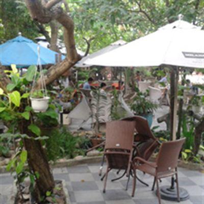 Thúy Cát Cafe