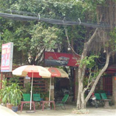 Trúc Xanh Cafe – Nguyễn Ảnh Thủ