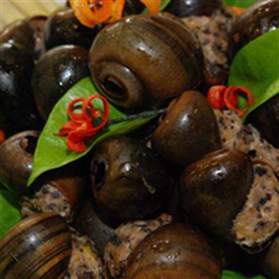 Ốc Mập – Âu Cơ