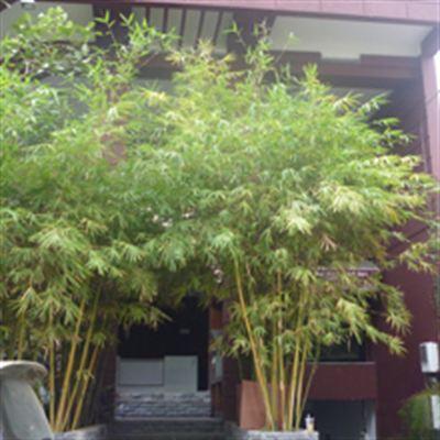 301 Cafe – Công Chúa Ngọc Hân