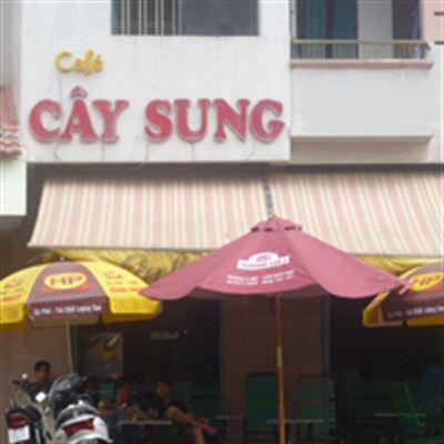 Cây Sung Cafe – Tuệ Tĩnh