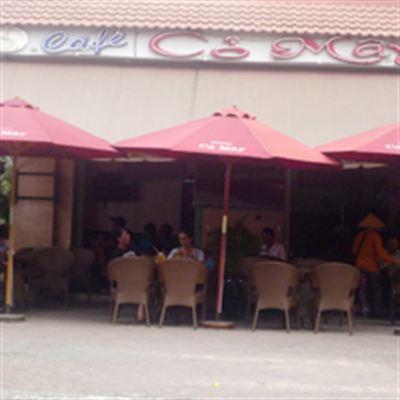 Cỏ Mây Cafe – Tuệ Tĩnh