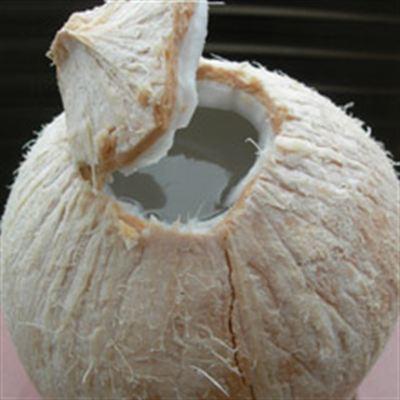 Nước Dừa Tươi