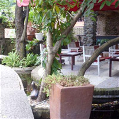 Quán Tôi Cafe
