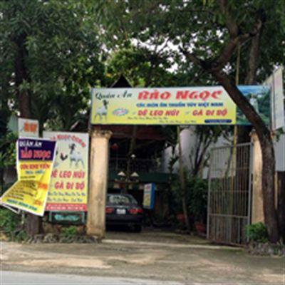 Bảo Ngọc – Dê Leo Núi & Gà Đi Bộ