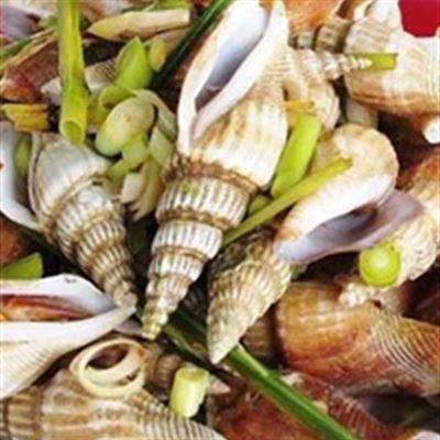 Hội Quán Cây Sung