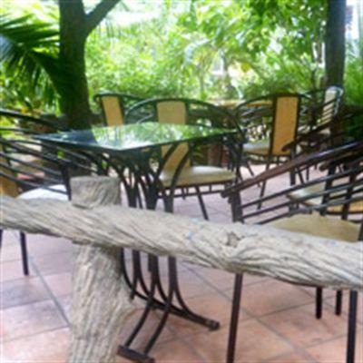 Bằng Lăng Cafe – Dương Đình Hội