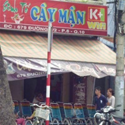 Cây Mận Cafe – 3 Tháng 2
