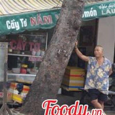 Cầy Tơ Năm Viễn