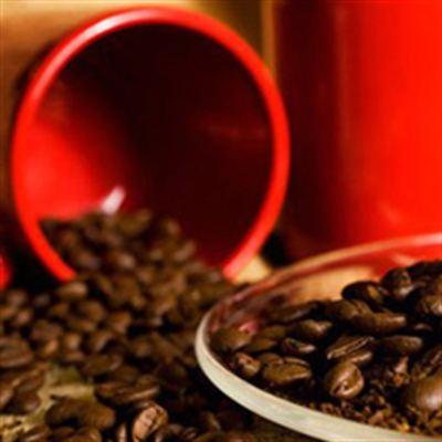 Trung Nguyên Coffee – Đường 48