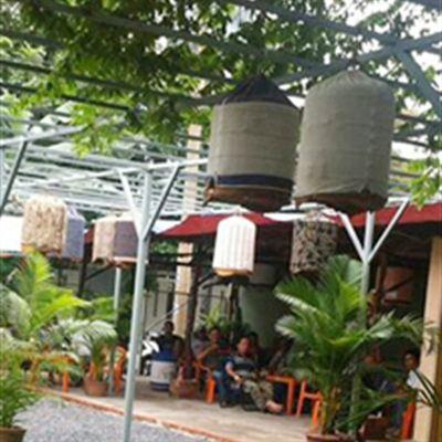 Song Huy – CLB Cafe Chim Cảnh