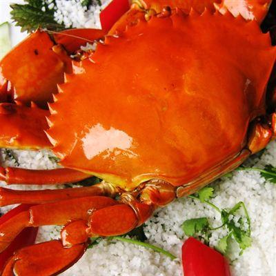 Ẩm Thực Vành Đai Xanh – Cao Lỗ