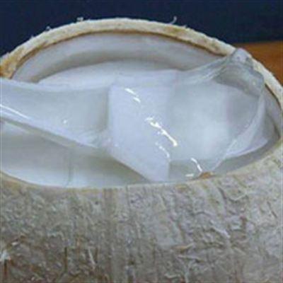 Rau Câu Dừa 154