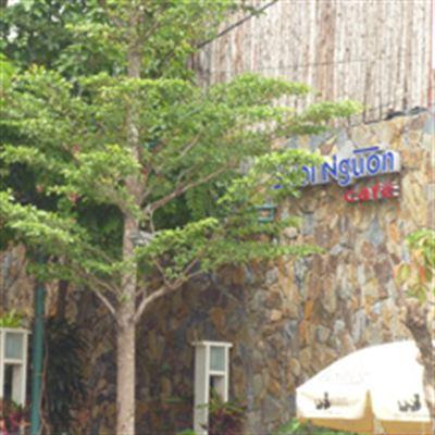 Suối Nguồn Cafe – Sân Vườn