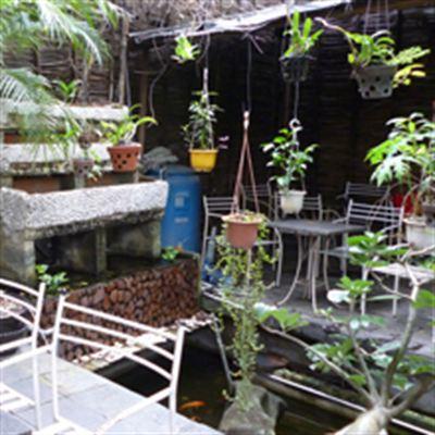 Tuổi Đá Cafe