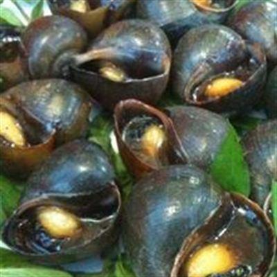 Quán Nướng – Ốc 69