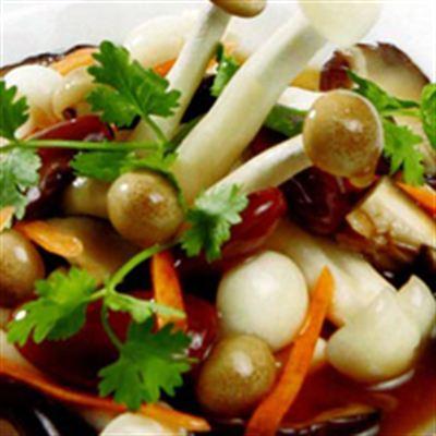 Pháp Uyển 2 – Ẩm Thực Chay
