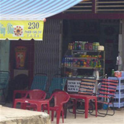 Sinh Tố – Phạm Văn Chí