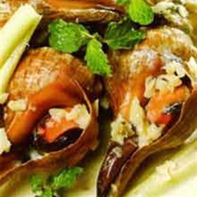 Ốc San Hô