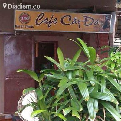 Cafe Cây Đa – Hai Bà Trưng