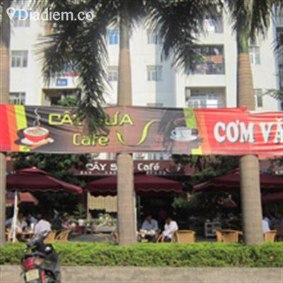Cây Sưa Cafe