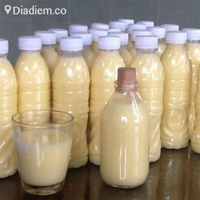 Đậu Nành, Sữa Bắp & Nha Đam