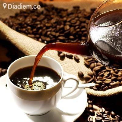 Độc Cafe – Triệu Việt Vương