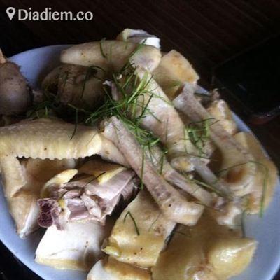 Gà Ri Thành Luân – Thạch Thất