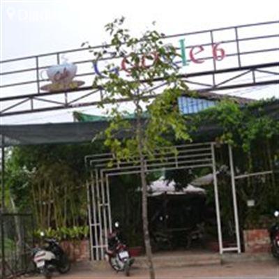 Google 6
