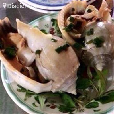 Ốc Biển – 30 Tháng 4