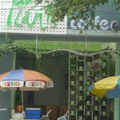 Plants Cafe