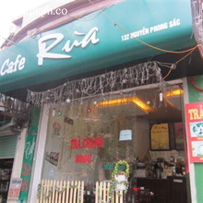 Rùa Cafe – Nguyễn Phong Sắc