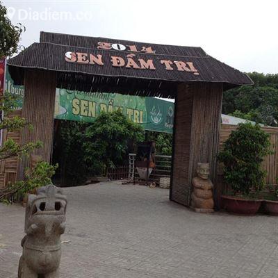 Sen Đầm Trị – Đặng Thai Mai