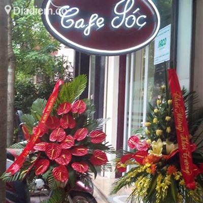Sóc Cafe – Đỗ Quang