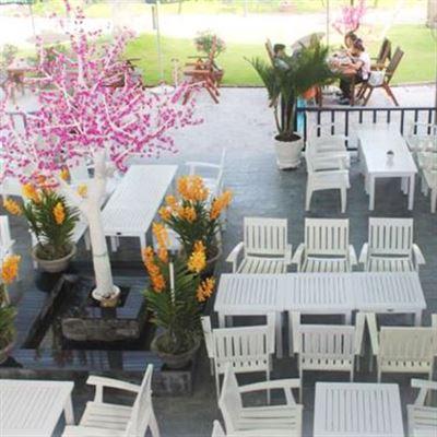 T&V Container Coffee