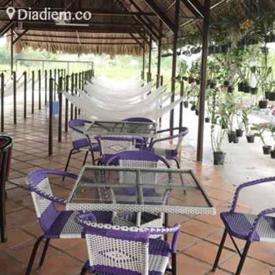 Tú Vy – Cafe & Điểm Tâm