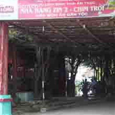 Zin2 – Chim Trời