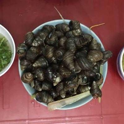 Tuyết Ốc