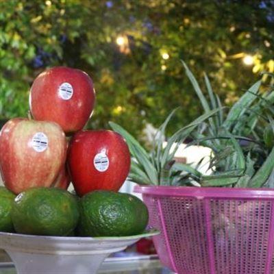 Diệp Quang – Nước Ép Quả