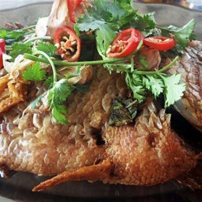 Xà Cừ Quán