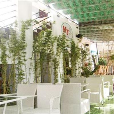 My Cafe – Cafe Sân Vườn