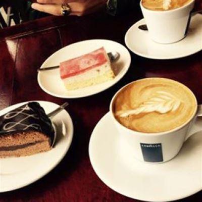 The Gecko Cafe