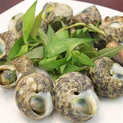 Quán Ốc – Ngô Đức Kế